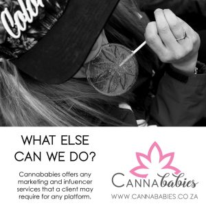 295946631_117782247664283_3808672067244566989_n